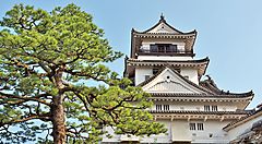 Il castello di Kochi con alberi verdi in primo piano.