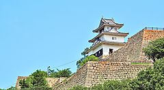 Il Castello di Marugame con le sue mura storiche e il cielo azzurro.