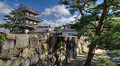 Castello di Takamatsu con mura di pietra e alberi circostanti.