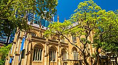 La Cattedrale di Sant'Andrea a Sydney tra alberi verdi.