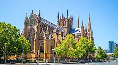 La Cattedrale di Santa Maria a Sydney circondata da alberi e cielo azzurro.