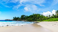 Spiaggia tropicale delle Seychelles con palme e mare azzurro.
