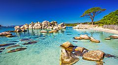 Spiaggia rocciosa e mare cristallino in Corsica sotto un cielo blu.