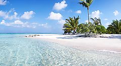 Spiaggia paradisiaca alle Maldive con acque cristalline e palme.