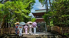 Persone sotto ombrelli camminano verso un tempio tra gli alberi a Kamakura.
