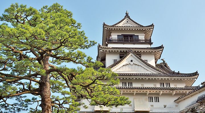 Il castello di Kochi con alberi verdi in primo piano.