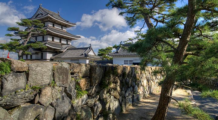 Castello di Takamatsu con mura di pietra e alberi circostanti.