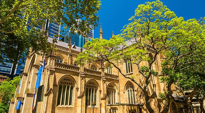 La Cattedrale di Sant'Andrea a Sydney tra alberi verdi.