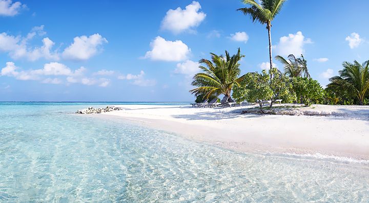 Spiaggia paradisiaca alle Maldive con acque cristalline e palme.