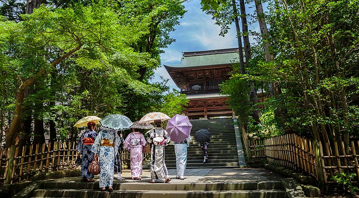 Persone sotto ombrelli camminano verso un tempio tra gli alberi a Kamakura.