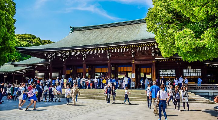 Visitatori al Santuario Meiji a Tokyo in una giornata soleggiata.