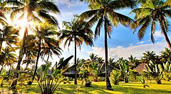 Palme e bungalow immersi nella natura del Madagascar.