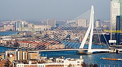 Panorama urbano di Rotterdam con il ponte Erasmus sopra il fiume.