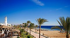 Spiaggia con palme e mare blu a Sharm el-Sheikh.