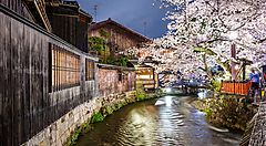 Il fiume Shirakawa di notte con ciliegi in fiore.