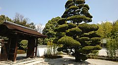 Giardino Urakuen in Giappone con struttura tradizionale e alberi curati.