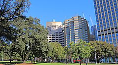 Grattacieli e alberi a Hyde Park, Sydney sotto un cielo blu.