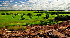 Paesaggio naturale nel Kakadu National Park con vegetazione e rocce.