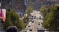 Traffico su una strada alberata di King's Cross a Sydney.