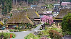 Case tradizionali con tetti di paglia a Miyama, incorniciate da alberi e fiori rosa.