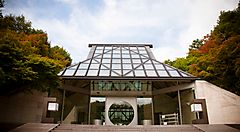 Ingresso del Museo Miho con struttura in vetro e natura circostante.