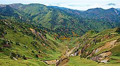 Paesaggio montano verdeggiante a Shiga Kogen in Giappone.