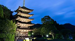 Pagoda del tempio Rurikoji illuminata al crepuscolo.