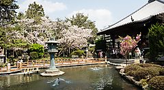 Tempio Ryozenji con giardino e stagno in primo piano, circondato da alberi fioriti.