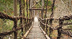 Ponte di liane nella Valle di Iya, circondato da alberi.