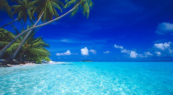 Spiaggia delle Maldive con sabbia bianca e palme sullo sfondo.