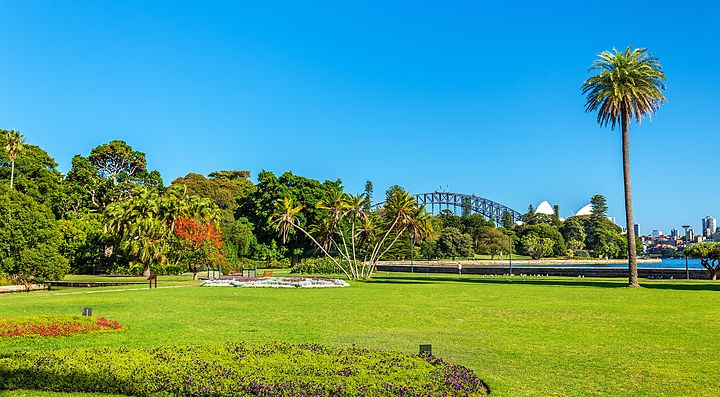 Il Giardino Botanico di Sydney con vegetazione e skyline sullo sfondo.