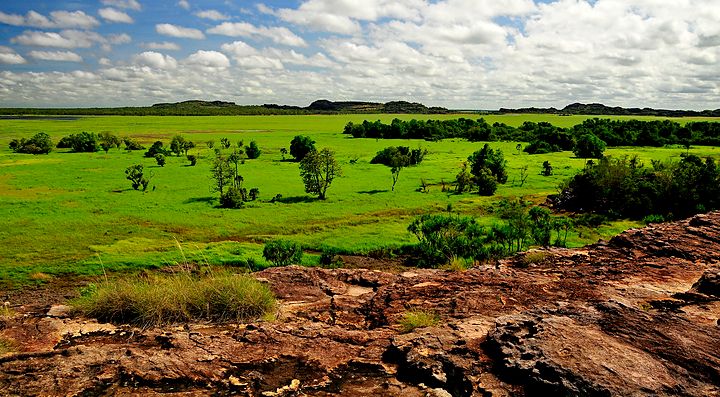 Paesaggio naturale nel Kakadu National Park con vegetazione e rocce.
