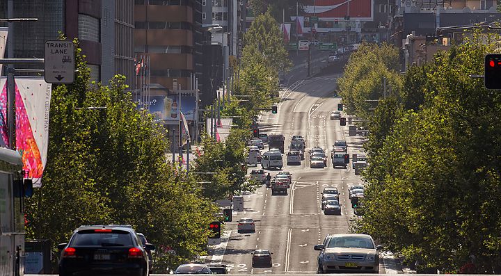 Traffico su una strada alberata di King's Cross a Sydney.