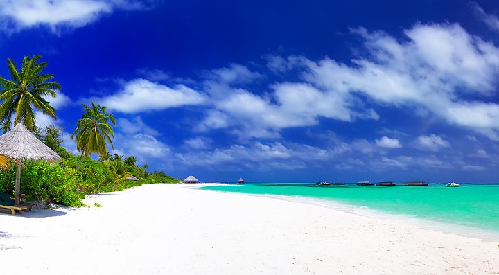 Spiaggia di sabbia bianca e palme alle Maldive sotto un cielo blu.