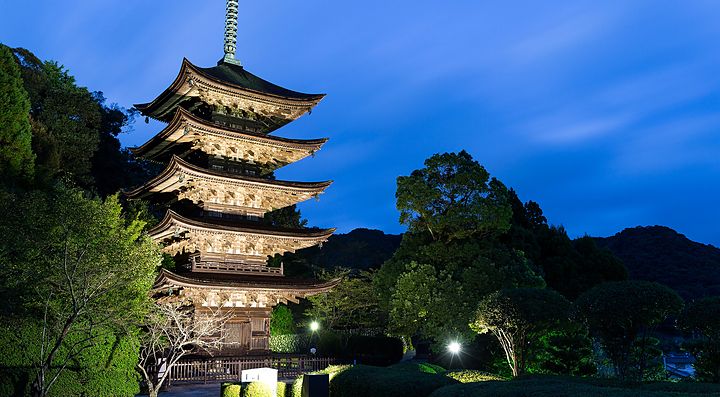 Pagoda del tempio Rurikoji illuminata al crepuscolo.