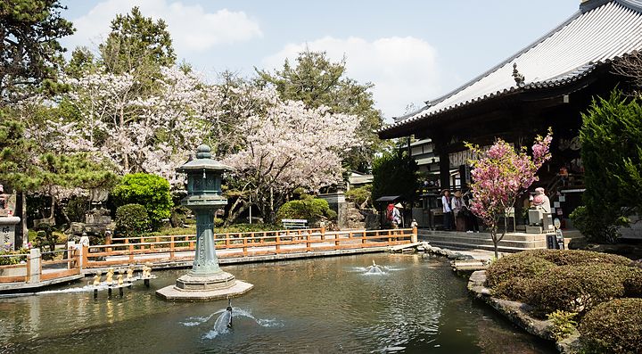 Tempio Ryozenji con giardino e stagno in primo piano, circondato da alberi fioriti.