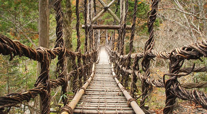 Ponte di liane nella Valle di Iya, circondato da alberi.