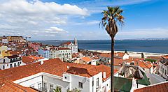Vista panoramica sui tetti di Lisbona con il mare sullo sfondo e una palma in primo piano.