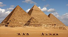 Le piramidi di Giza in Egitto con cammelli in primo piano.