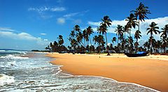 Spiaggia con palme e onde a Goa sotto un cielo blu luminoso.