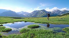 Persona cammina in un prato verde con montagne sullo sfondo in Romania.