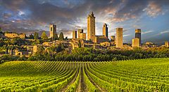 Torri medievali di San Gimignano con vigneti in primo piano.