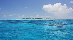 Isola tropicale circondata da mare cristallino alle Seychelles.