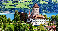 Un castello pittoresco in Svizzera con vista su un lago e colline verdi.