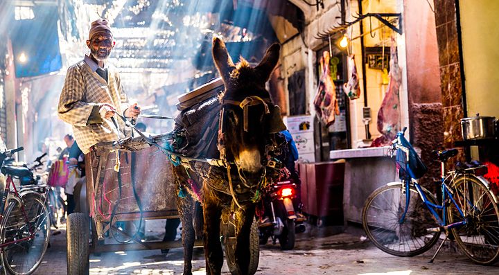 Un uomo guida un asino carico in un vivace mercato in Marocco.