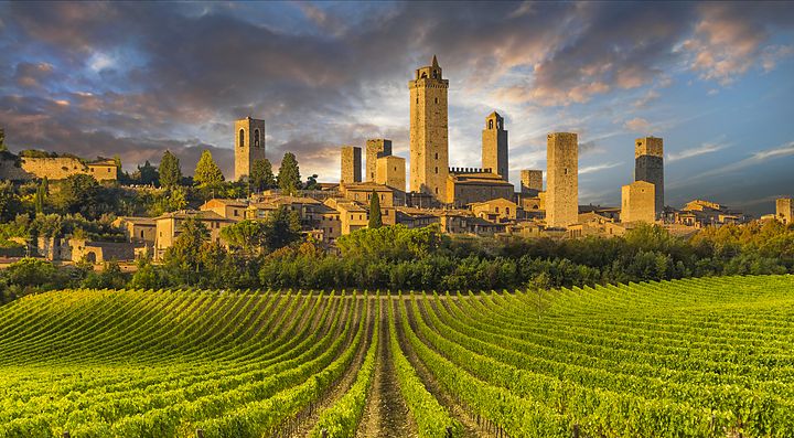 Torri medievali di San Gimignano con vigneti in primo piano.