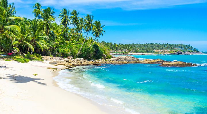 Spiaggia tropicale con palme e acqua cristallina in Sri Lanka.