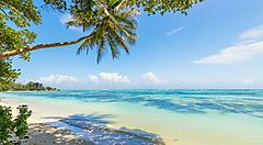 Spiaggia tropicale delle Seychelles con palme e mare cristallino.