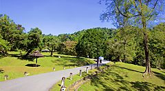 Giardini botanici di Penang con viali alberati e prati verdi.