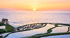 Tramonto su risaie terrazzate in Giappone vicino al mare.